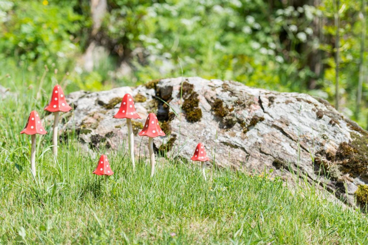 Chalet Ravenstein Fiesch Dış mekan fotoğraf